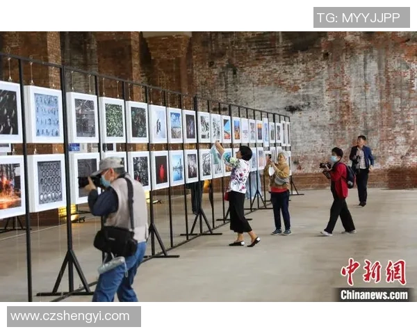 聚焦网球：探讨上海网球队员个人能力提升与团队协作的关系