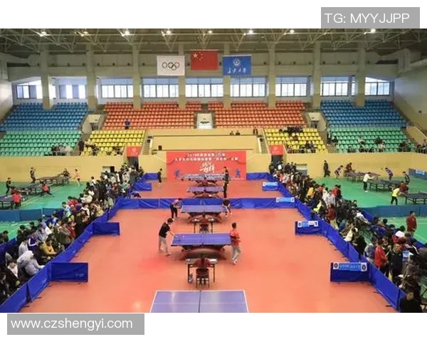 西安乒乓球队防反策略分析与比赛得失总结