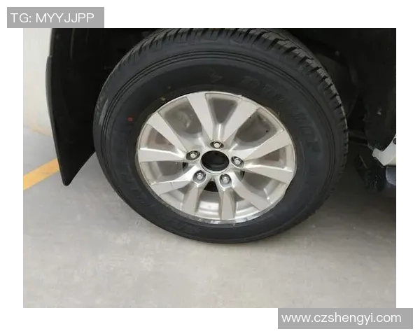 西安网球队在洲际杯积分榜中以95分稳居第一名展现强劲实力